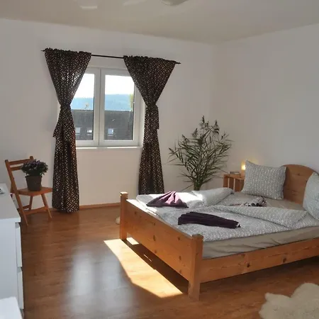 Jenisov 319 - Lipno Villa Horní Planá